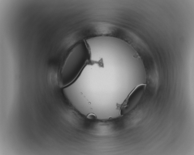 X0000113930556200910091604