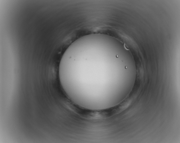 X0000113930558200910091604