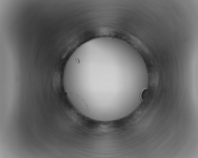 X0000113930560200910091604