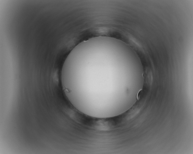 X0000113930562200910091604