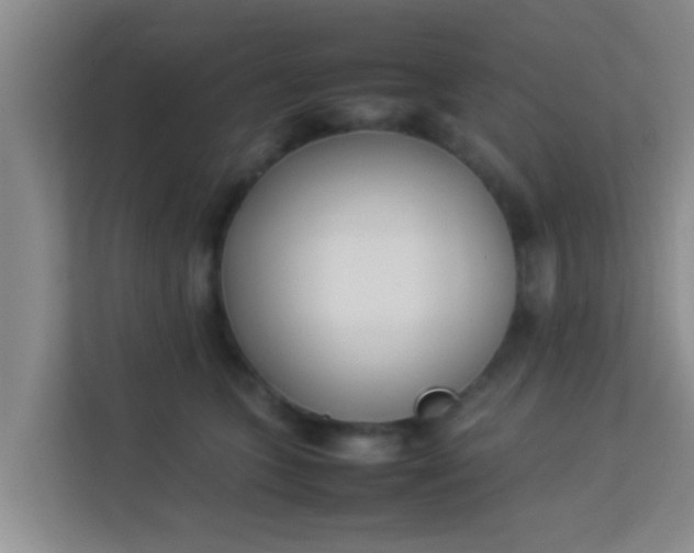 X0000113930563200910091604