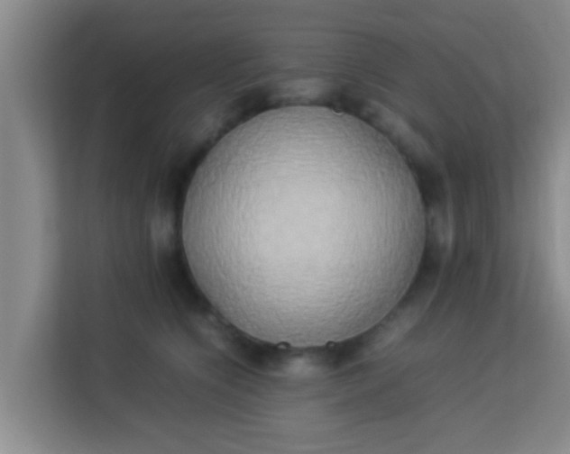 X0000113930564200910091604