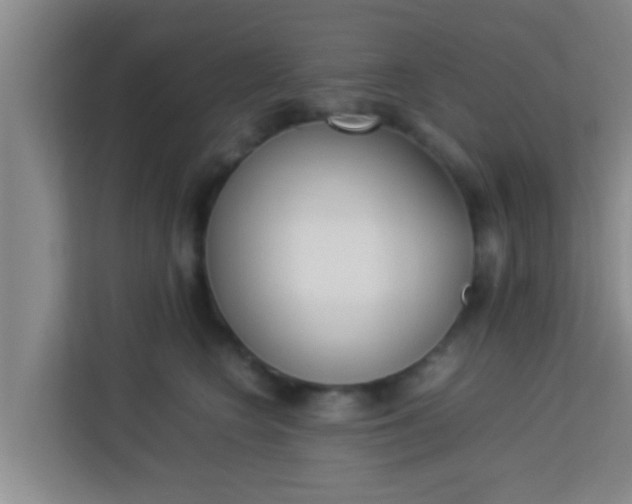 X0000113930566200910091604