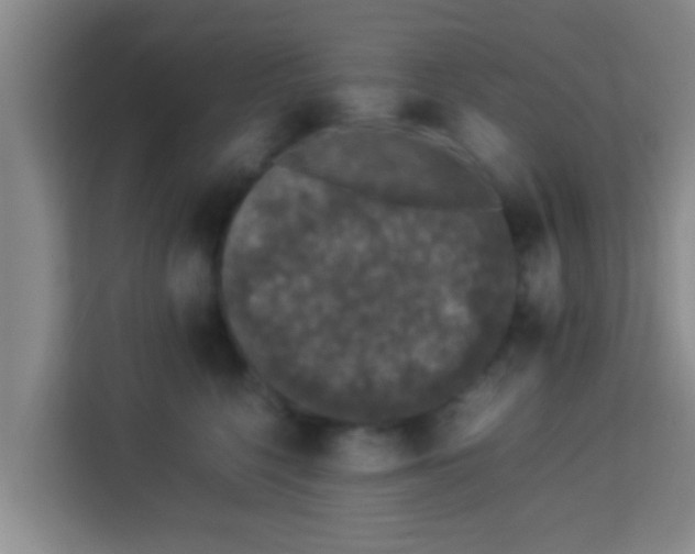 X0000113930568200910091604