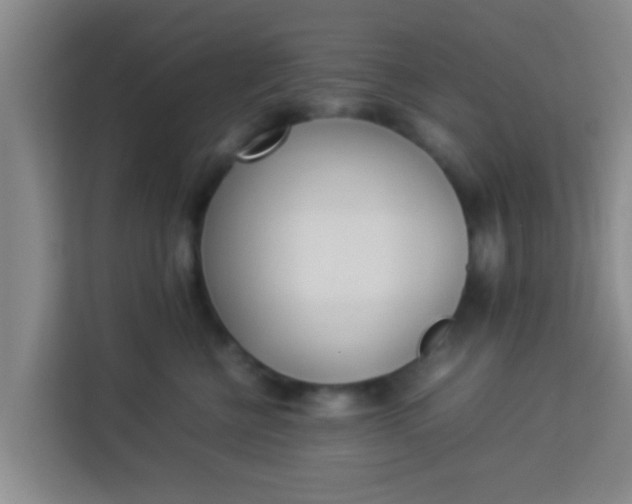 X0000113930570200910091604