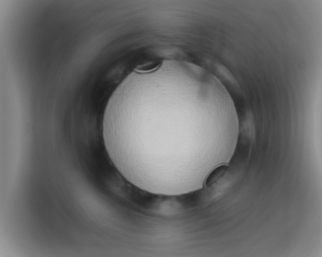 X0000113930572200910091604