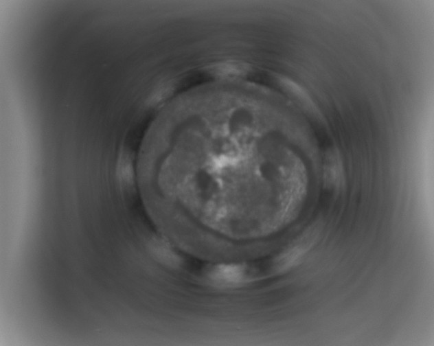 X0000113930573200910091604