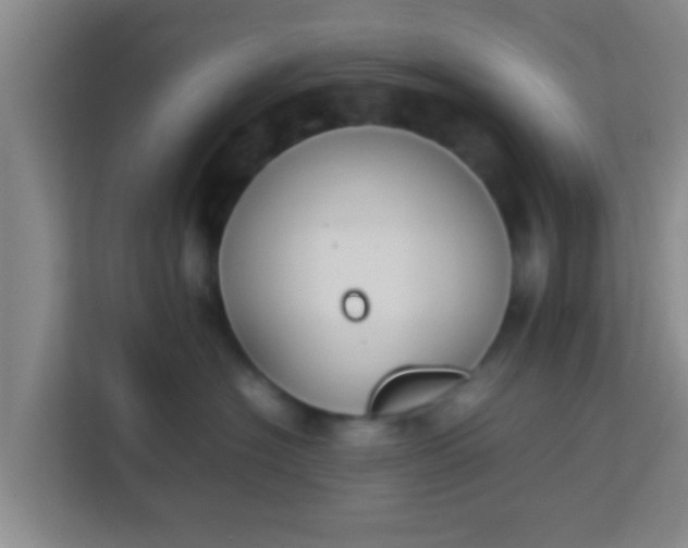 X0000113930574200910091605