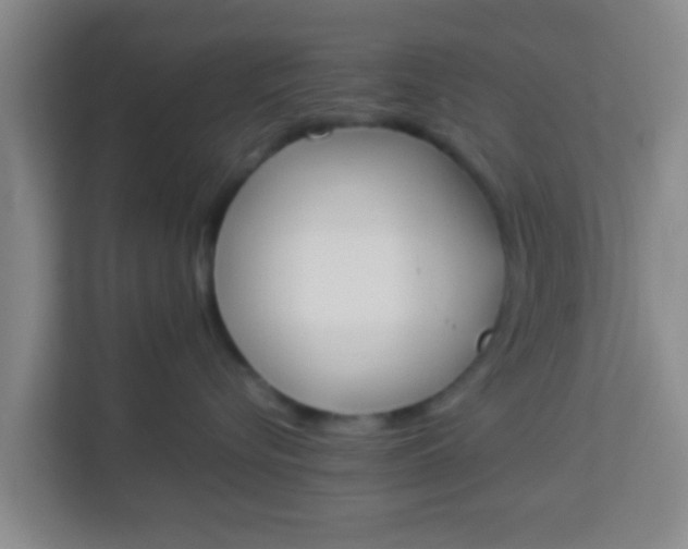 X0000113930576200910091605