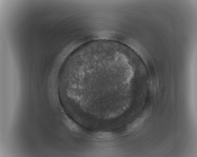 X0000113930577200910091604