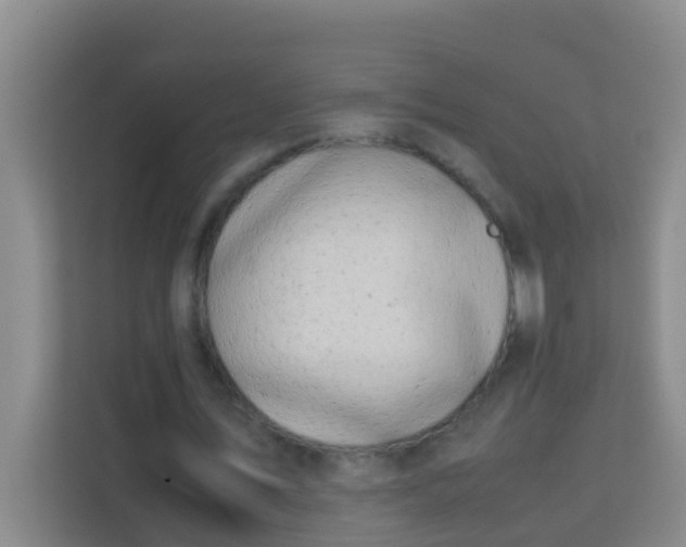 X0000113930579200910091604