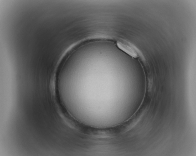 X0000113930580200910091604