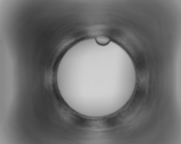 X0000113930583200910091604