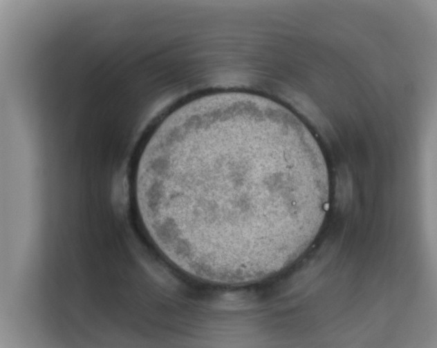 X0000113930584200910091604