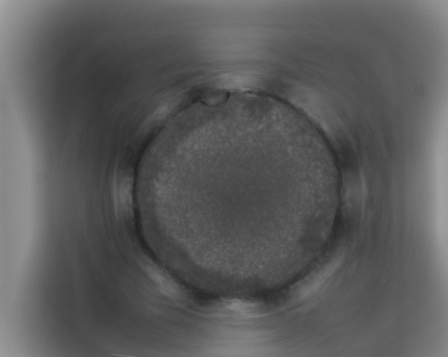 X0000113930585200910091604