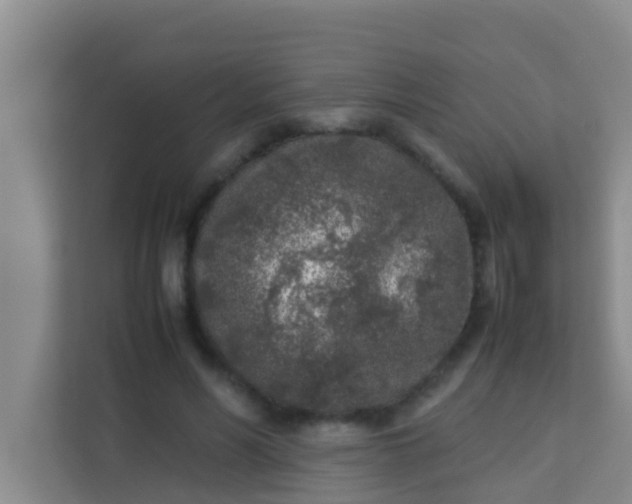 X0000113930590200910091604