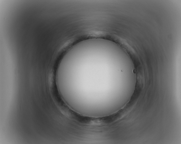 X0000113930591200910091604