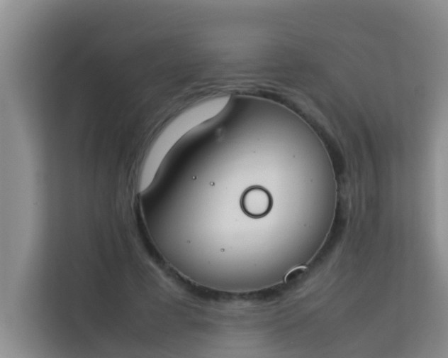 X0000113930593200910091604