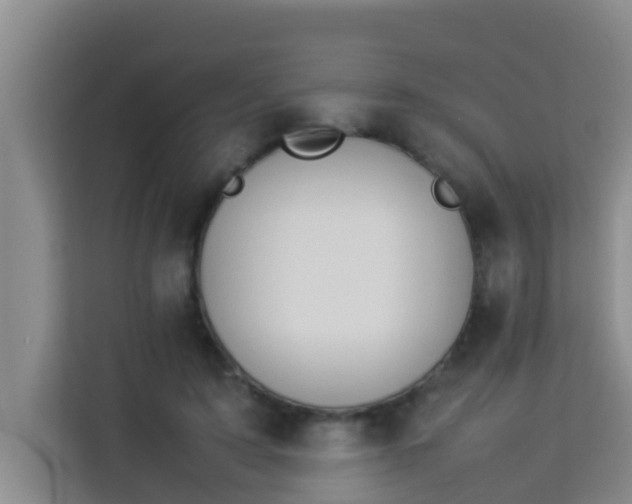 X0000113930595200910091604