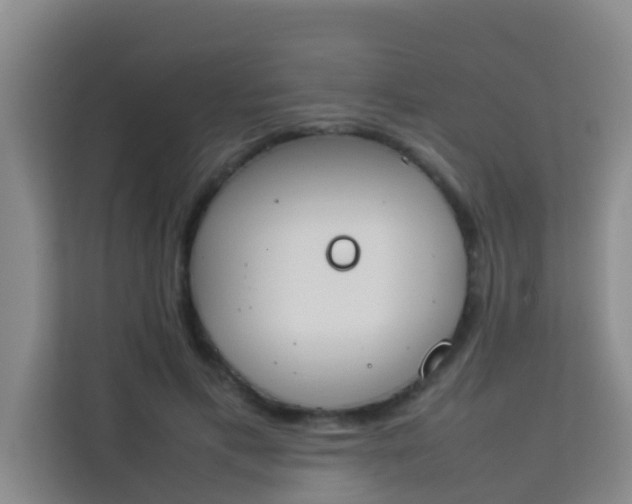 X0000113930597200910091604