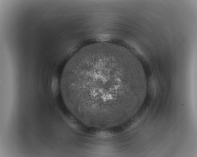 X0000113930598200910091604