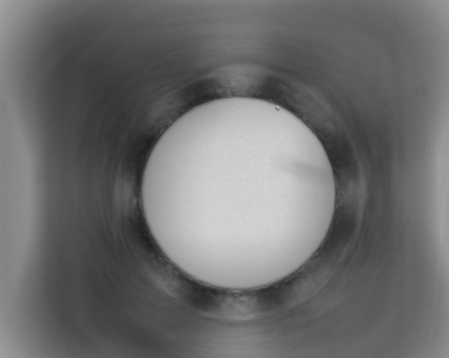 X0000113930599200910091604