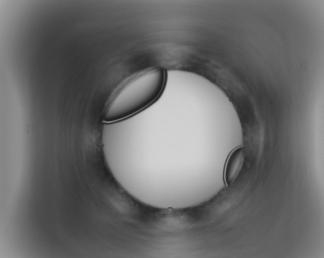 X0000113930601200910091604