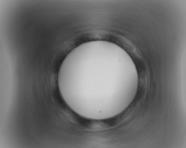 X0000113930605200910091603