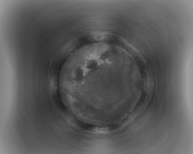 X0000113930606200910091603