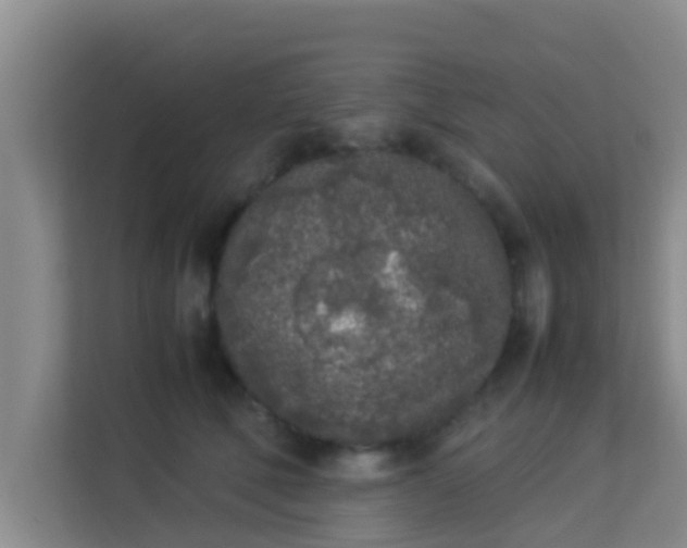 X0000113930610200910091603