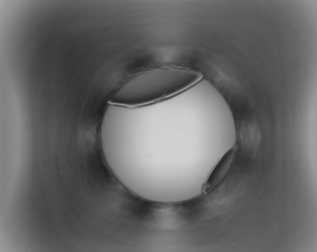 X0000113930611200910091603