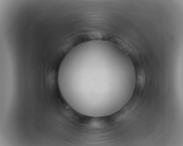 X0000113930616200910091603