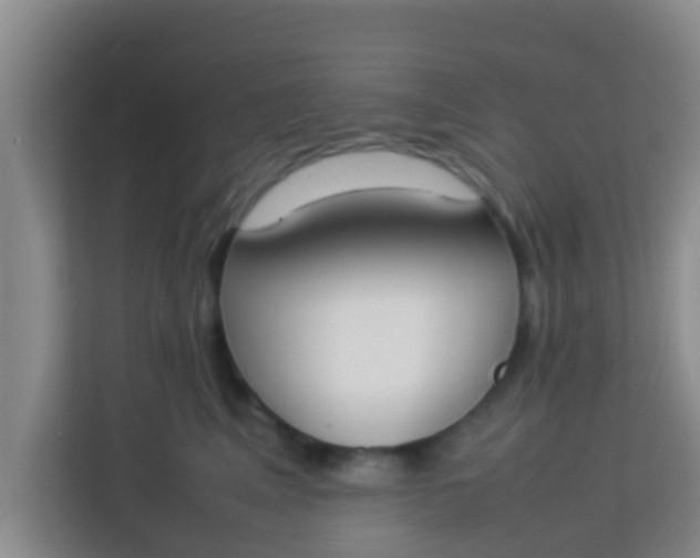 X0000113930617200910091603