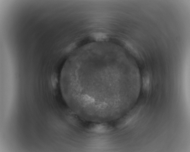 X0000113930618200910091603