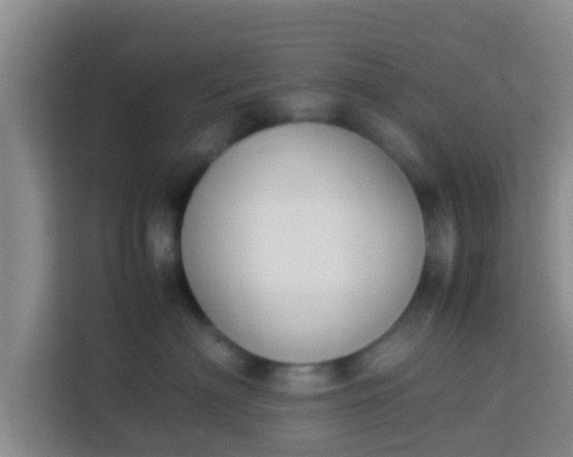 X0000113930622200910091603