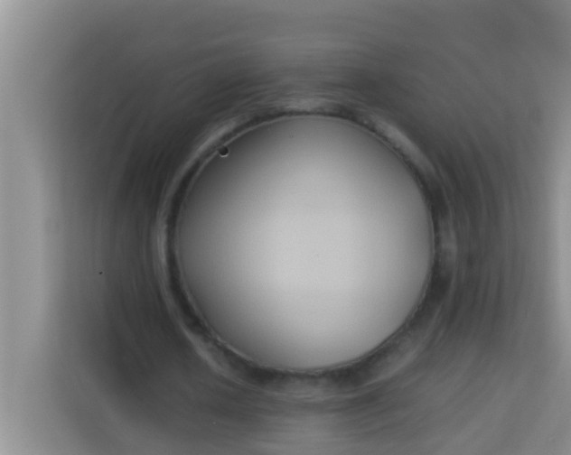 X0000113930626200910091602