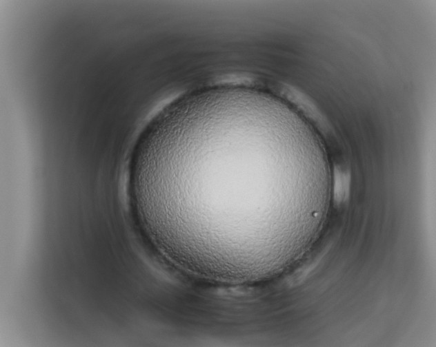 X0000113930627200910091603