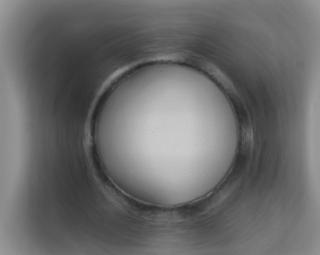 X0000113930628200910091603