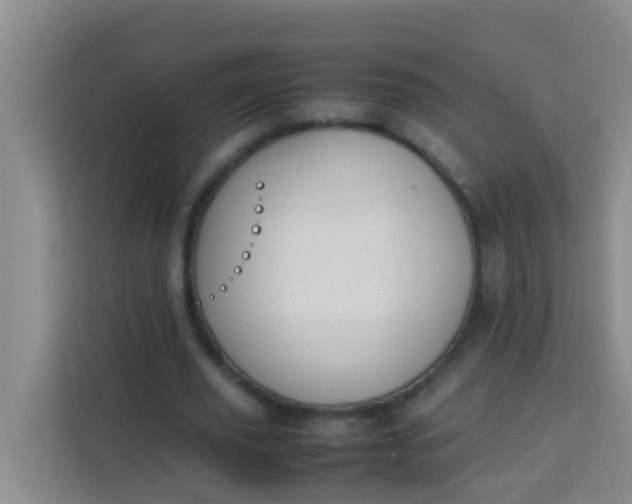 X0000113930629200910091603