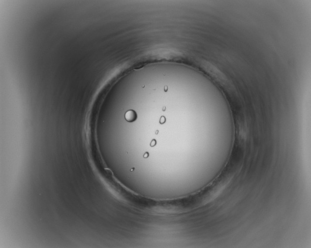 X0000113930630200910091603