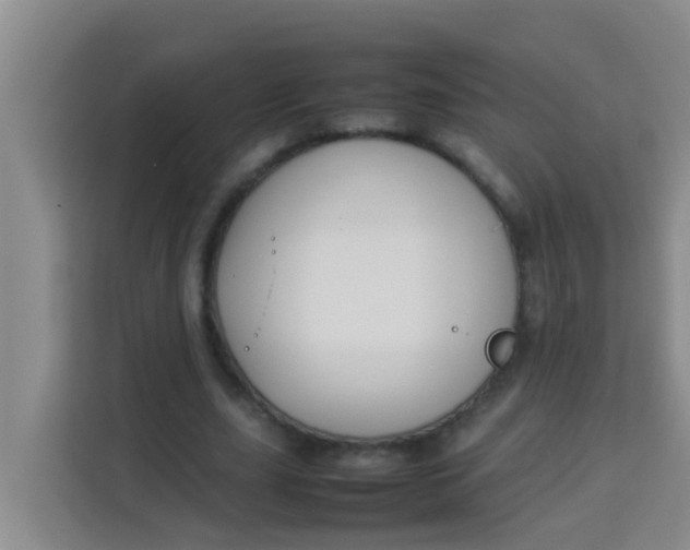 X0000113930631200910091603