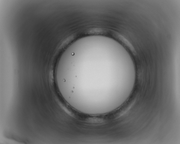 X0000113930633200910091603