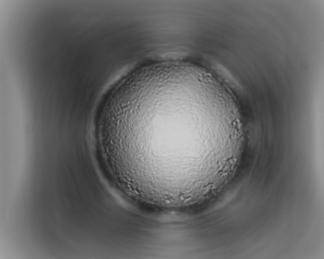 X0000113930634200910091603