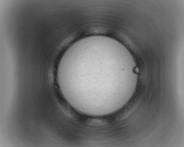 X0000113930635200910091603