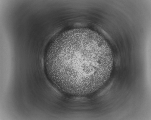 X0000113930637200910091603