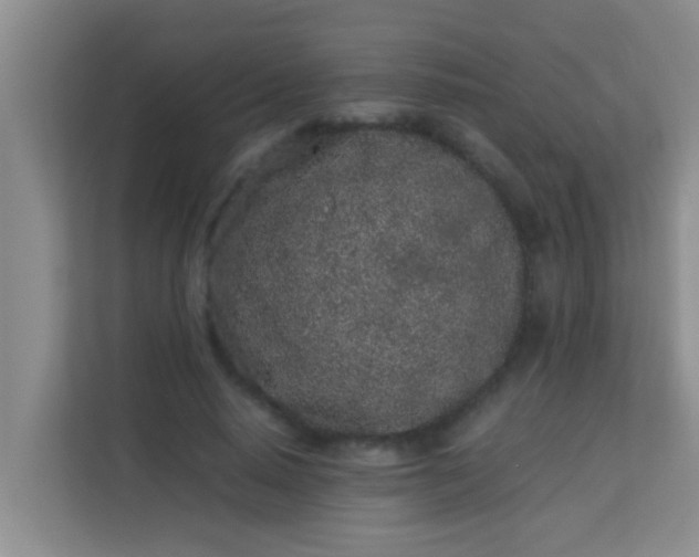 X0000113930640200910091603