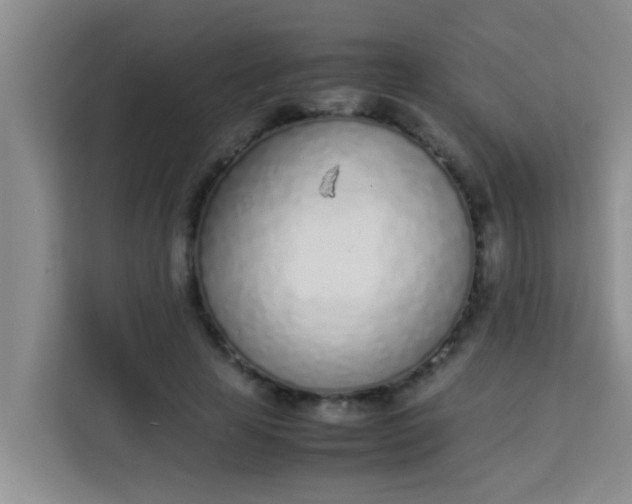 X0000113930641200910091603