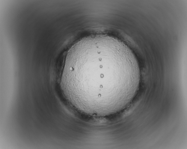 X0000113930642200910091603