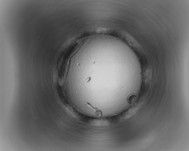 X0000113930644200910091603