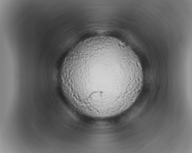 X0000113930650200910091603